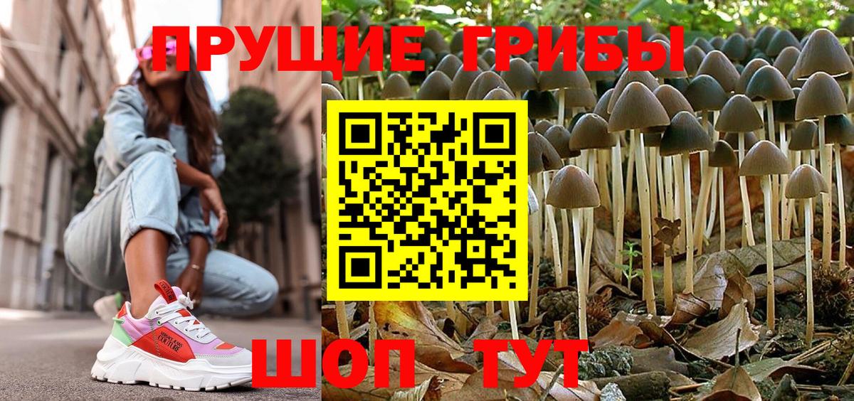 Псилоцибиновые грибы мицелий Краснокаменск