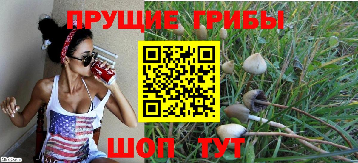 Краснокаменск  купить закладку  Вход с VPN  Псилоцибиновые грибы Magic Shrooms 